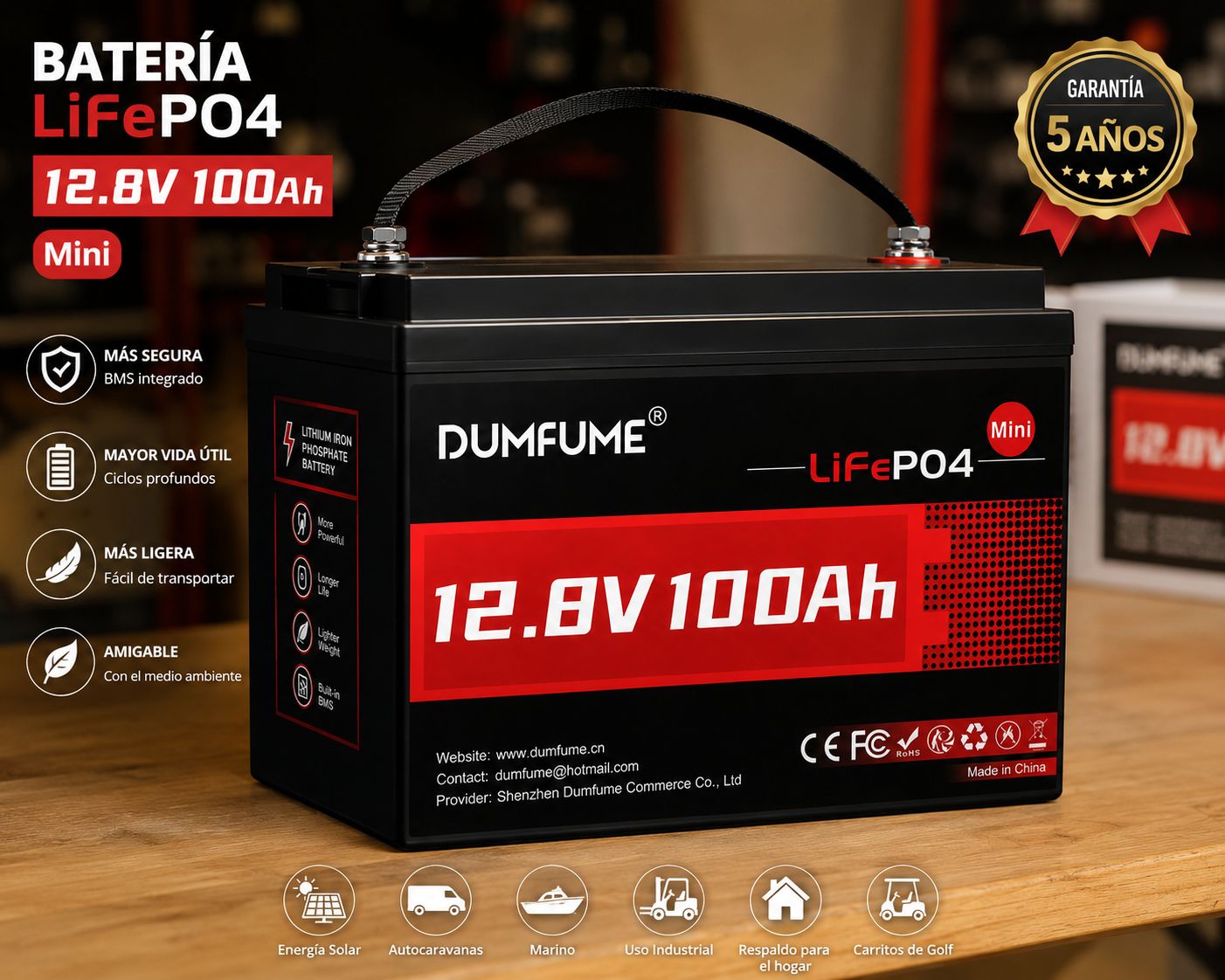 Dumfume Batería 12V 100Ah